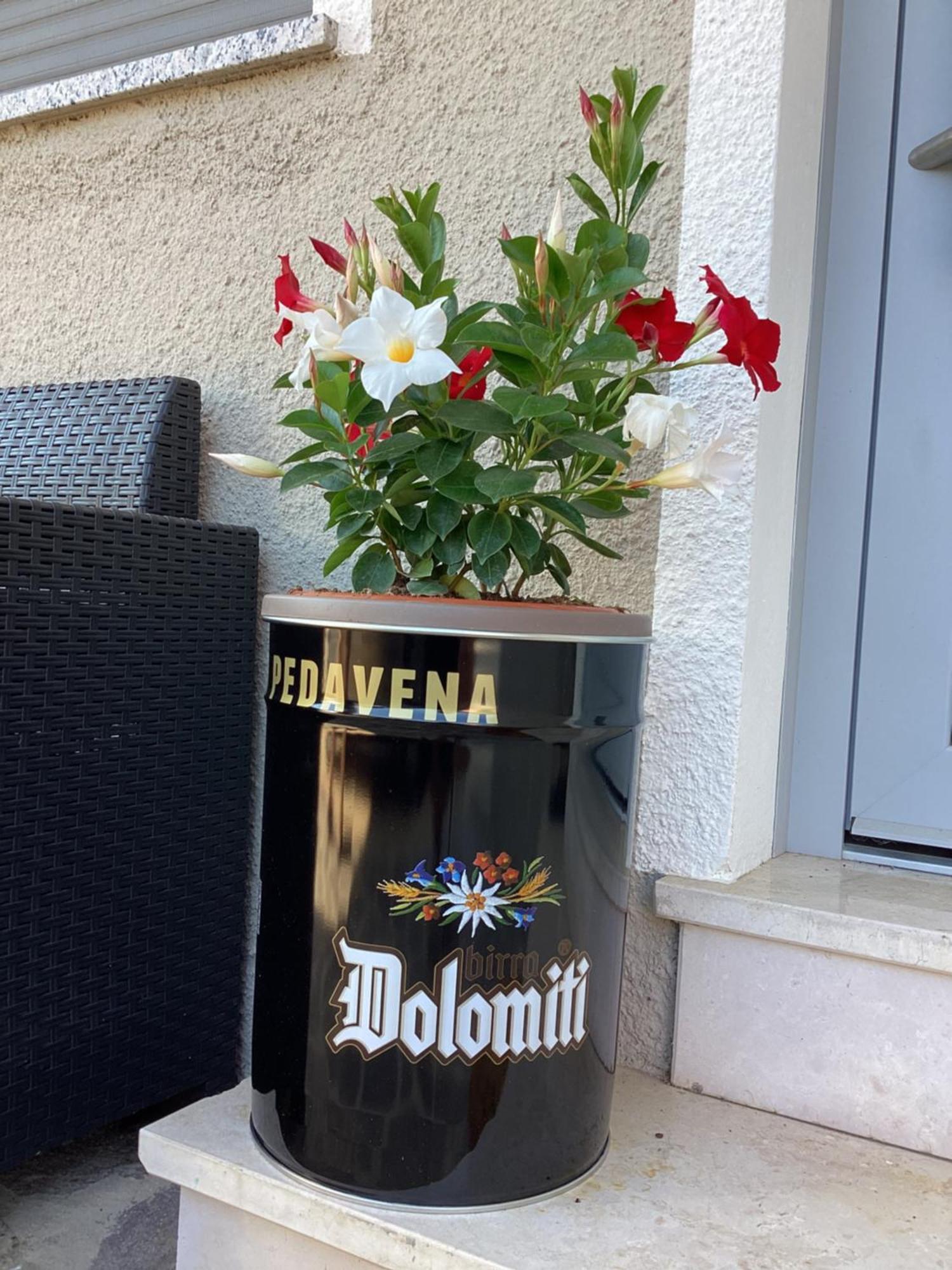 La Stella Delle Dolomiti Διαμέρισμα Pedavena Εξωτερικό φωτογραφία